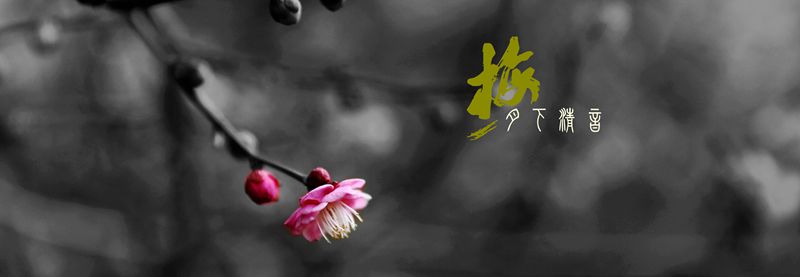 月下清音的博客'博客